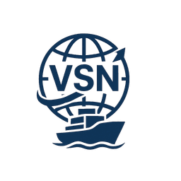 VSN Group Logo